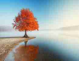 api自‍动​化​