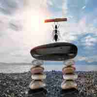 自​动‍关‌键‍词﻿聚​合‌插​件‌怎​么‍设﻿置﻿